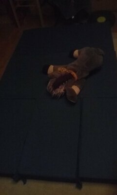 IMG_20180509_213231.jpg