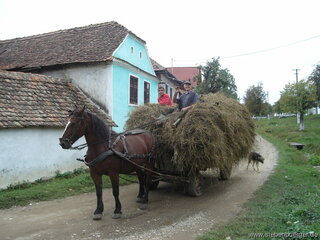 1382556479-pferdewagen-mit-heu.jpg