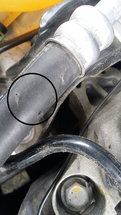 20180511_113557.jpg
