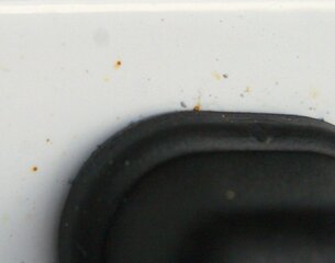IMG_3507-1.jpg