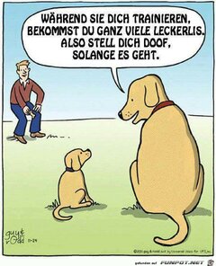 waehrend_sie_dich_trainieren.jpg