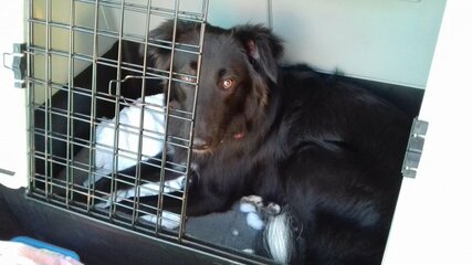 IMG-20180610-WA0000.jpg