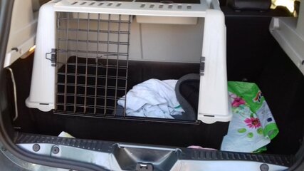 IMG-20180610-WA0001.jpg