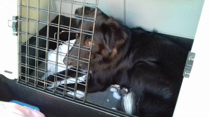 IMG-20180610-WA0005.jpg