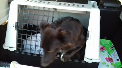 IMG-20180610-WA0006.jpg