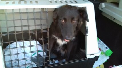 IMG-20180610-WA0007.jpg