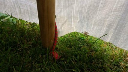 20180706_204907_HDR.jpg