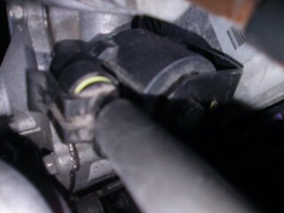 IMG_20180824_113647.jpg