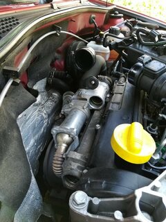 Motor.jpg