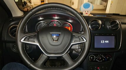 DSC_0032t.jpg