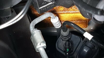 20180727_103832.jpg