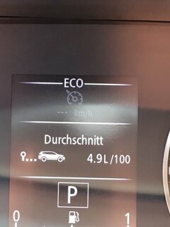 Duster 2.JPG
