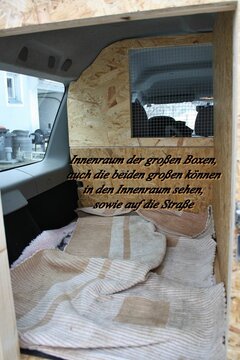 IMG_8000.JPG