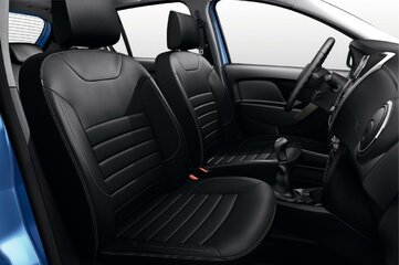 dacia leder.jpg