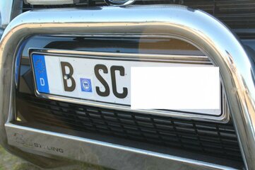 DustertreffenKlaistow2011.jpg