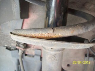 Feder 2012 04 020.jpg