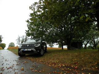 dscn0037foisq.jpg