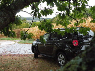 dscn00455jdiv.jpg
