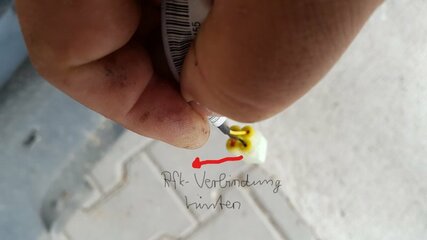 20170729_113815_001_LI.jpg