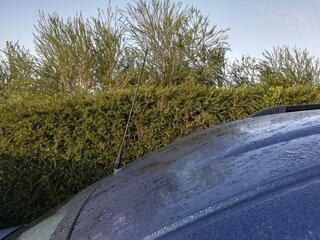 IMG_20181227_085205_1.jpg