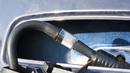 IMG_0004_2.JPG