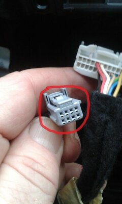 PBT Stecker.jpg