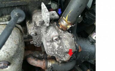 Motor.jpg