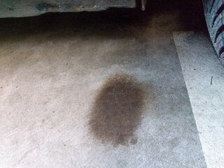 IMAG0110.jpg