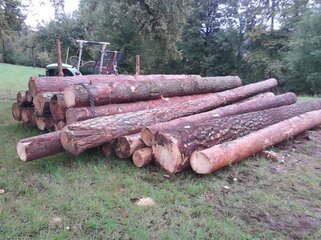 IMG_20130914_123543.jpg