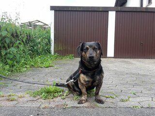 20160613_120207 (2).jpg