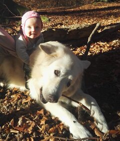IMG_20181113_170616.jpg