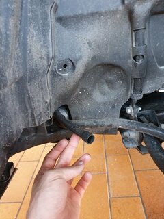20190417_150606.jpg