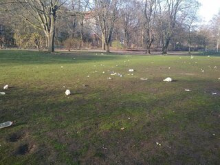 K1600_IMG_20190323_075756.JPG