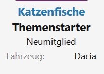 Fahrzeugangaben..jpg