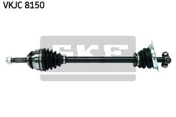 450_VKJC 8150.jpg