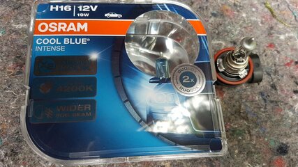 Cool Blue Intense H16.jpg Cool Blue Intense H16.jpg