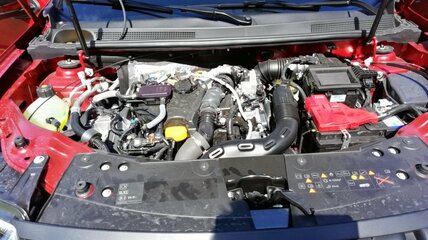 IMG_20190615_111249.jpg