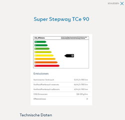 tce90_2.jpg