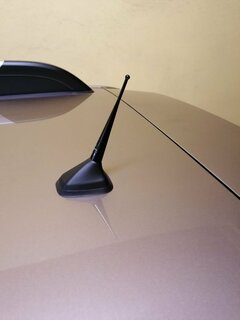 IMG_20190816_195318.jpg