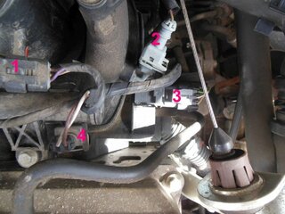 Motor Sandero1.jpg