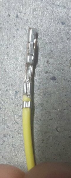 20191005_091929.jpg