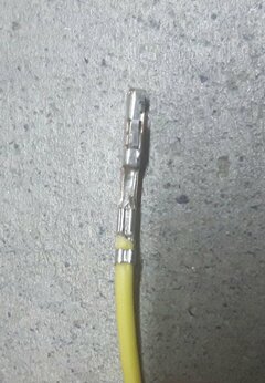 20191005_091844.jpg