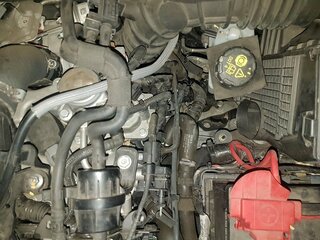 20191028_171030[1].jpg
