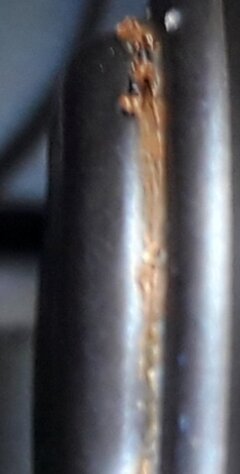 Rost Haube 11.2019.02.jpg