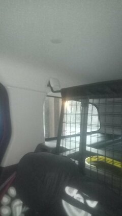 IMG_20200128_080803_5.jpg