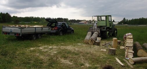 holz.jpg