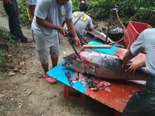 K800_IMG_20200206_112129.JPG