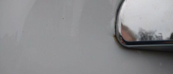 DSC_0566.JPG