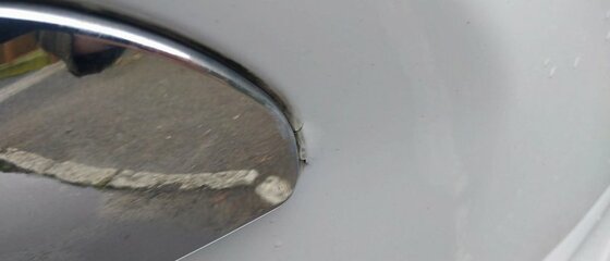 DSC_0568.JPG