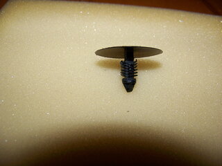 100_6346.JPG